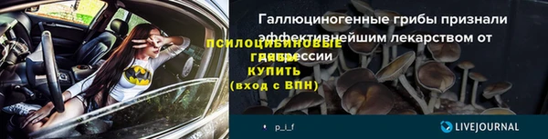 крисы Красноперекопск