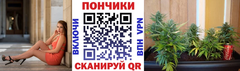 Шишки марихуана планчик  Купить  Плёс 